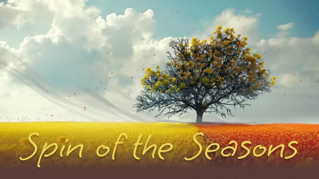 Spin of the Seasons: A Poetic Journey Through Time and Love